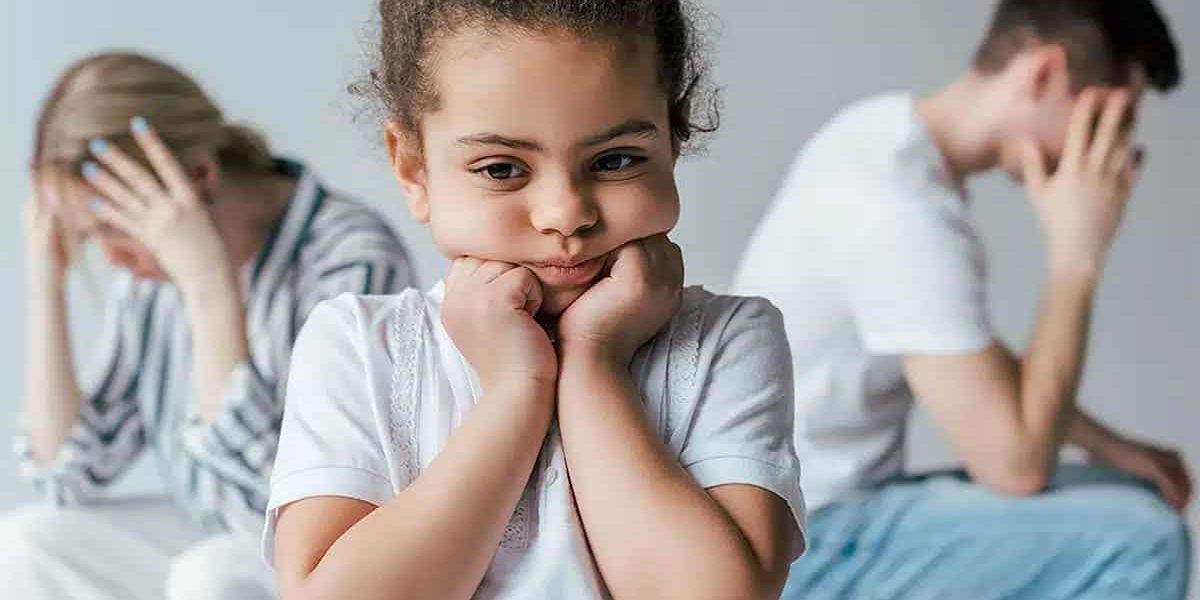 What Happens at a Second Custody Hearing? What Happens at a Second Custody Hearing?