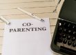 how long can custody battles take