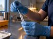 DNA swab prepared for paternity testing